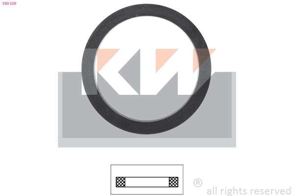 Seal, thermostat (590 539)