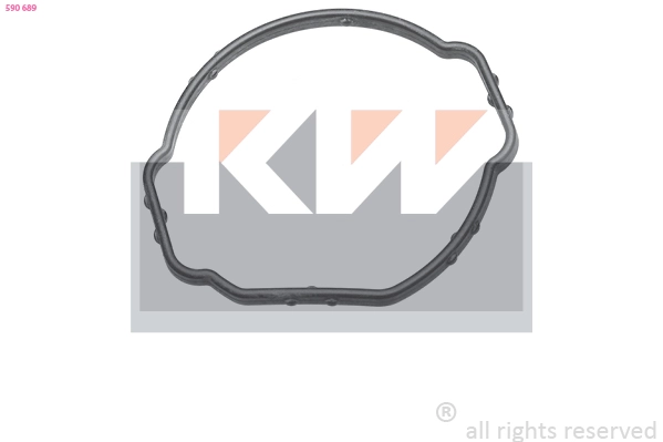 Seal, thermostat (590 689)