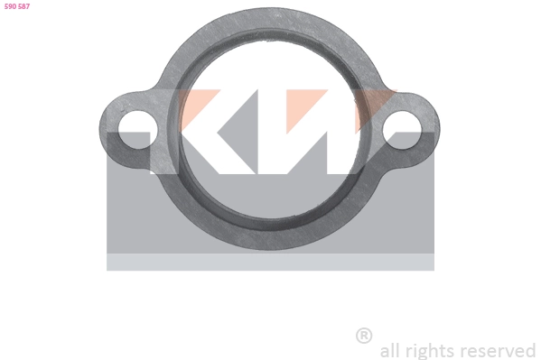 Seal, thermostat (590 587)