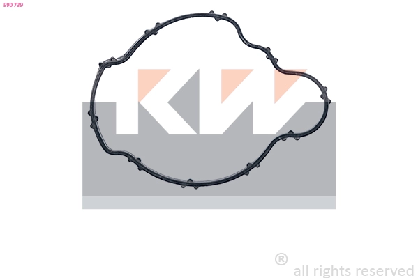 Seal, thermostat (590 739)