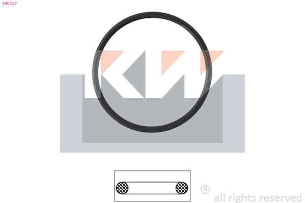 Seal, thermostat (590 527)