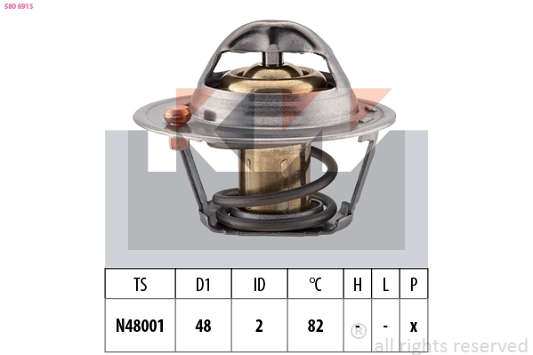 Thermostat, coolant (580 691S)