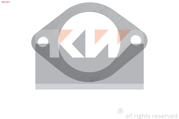 Seal, thermostat (590 557)