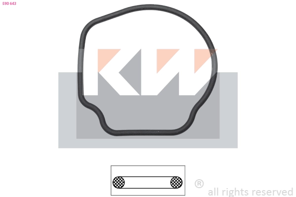 Seal, thermostat (590 643)