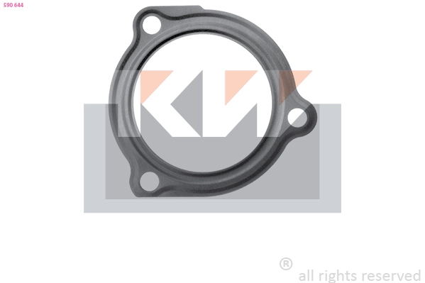 Seal, thermostat (590 644)