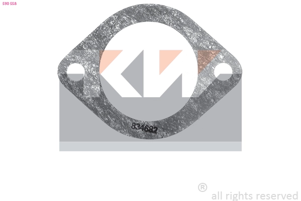 Seal, thermostat (590 558)