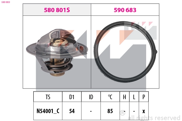 Thermostat, coolant (580 803)
