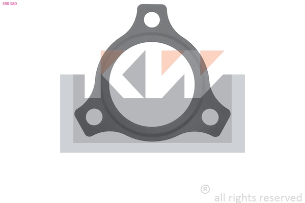 Seal, thermostat (590 580)