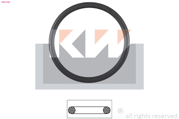 Seal, thermostat (590 538)
