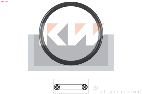 Seal, thermostat (590 590)