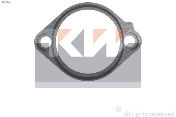 Seal, thermostat (590 514)