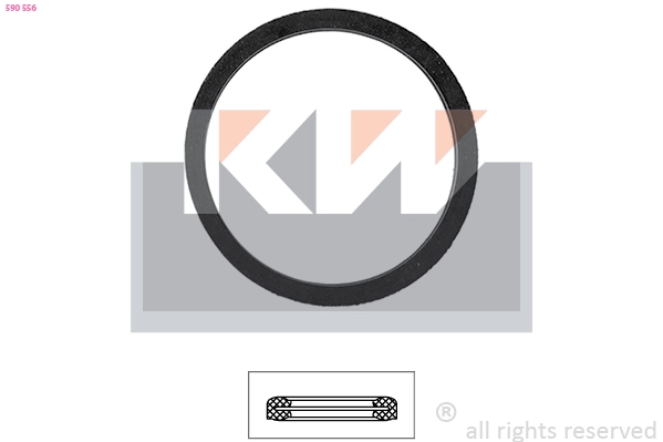 Seal, thermostat (590 556)