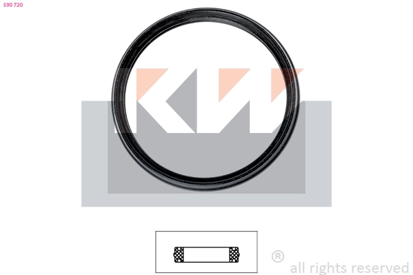 Seal, thermostat (590 720)
