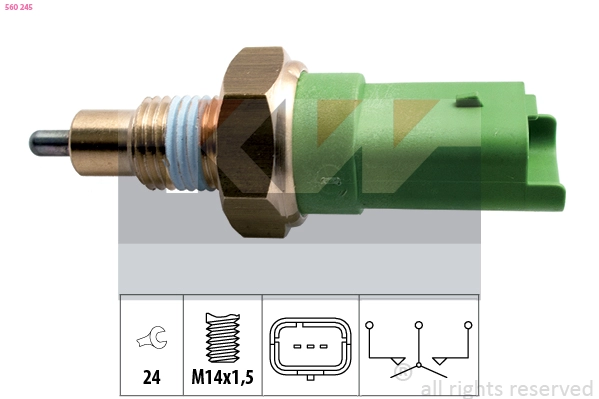 Switch, reverse light (560 245)