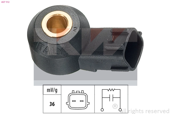 Knock Sensor (457 112)