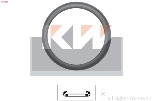 Seal, thermostat (590 598)