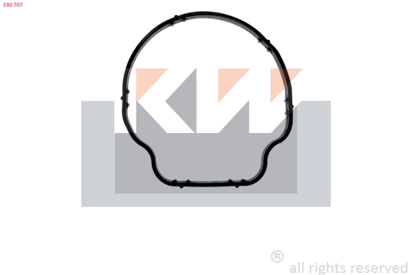 Seal, thermostat (590 707)