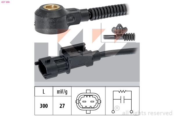 Knock Sensor (457 208)