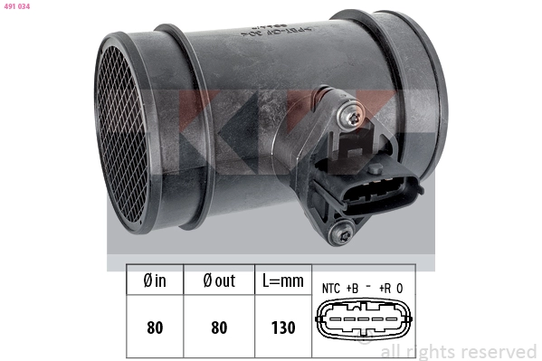 Mass Air Flow Sensor (491 034)
