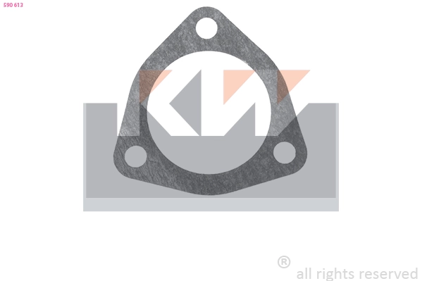 Seal, thermostat (590 613)