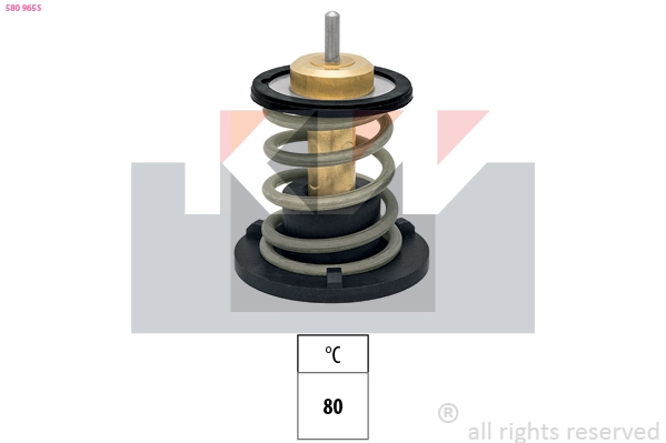 Thermostat, coolant (580 965S)