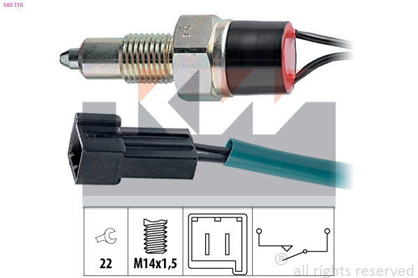 Switch, reverse light (560 110)