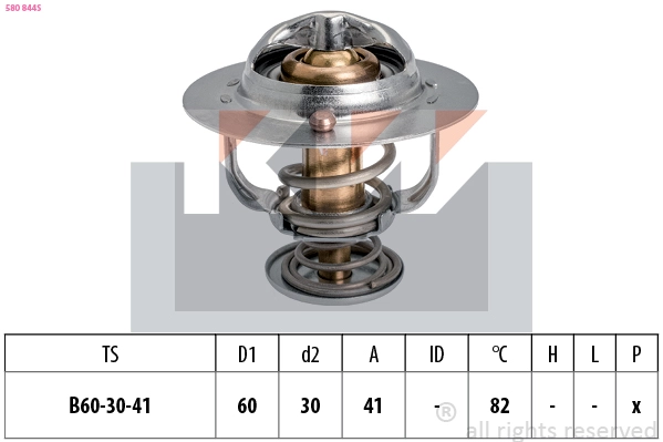 Thermostat, coolant (580 844S)