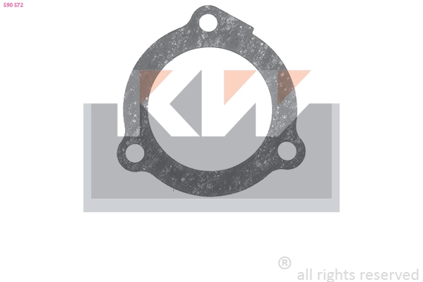 Seal, thermostat (590 572)