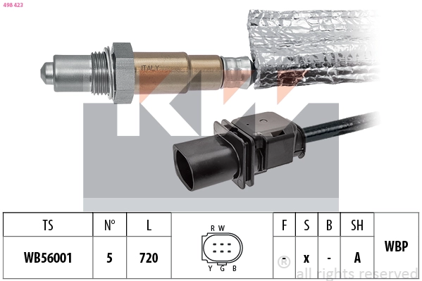 Lambda Sensor (498 423)