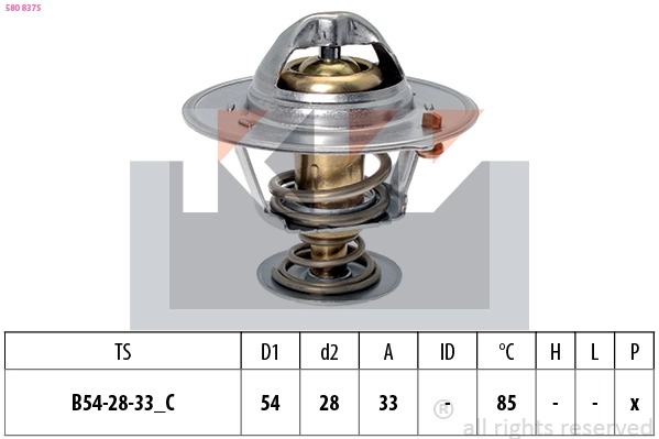 Thermostat, coolant (580 837S)
