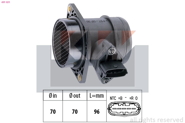 Mass Air Flow Sensor (491 031)