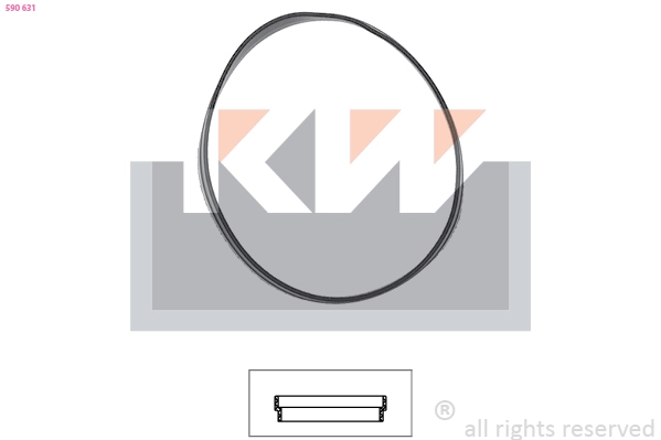 Seal, thermostat (590 631)