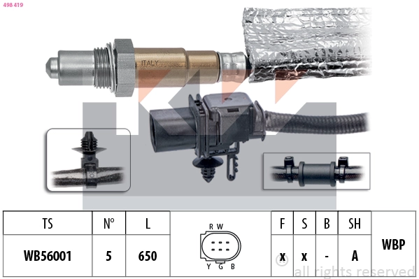Lambda Sensor (498 419)
