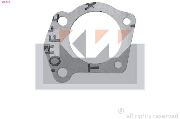 Gasket, thermostat housing (590 529)