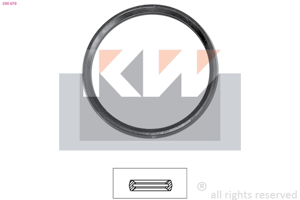 Seal, thermostat (590 679)