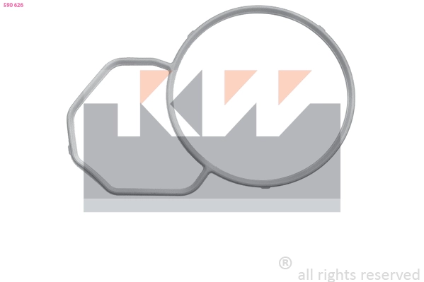 Seal, thermostat (590 626)