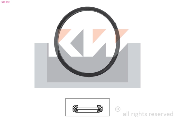 Seal, thermostat (590 532)