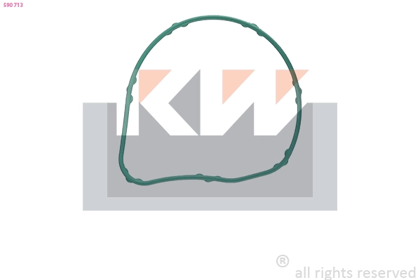 Seal, thermostat (590 713)