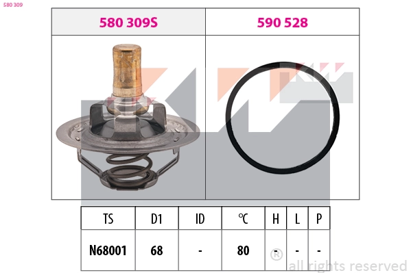 Thermostat, coolant (580 309)