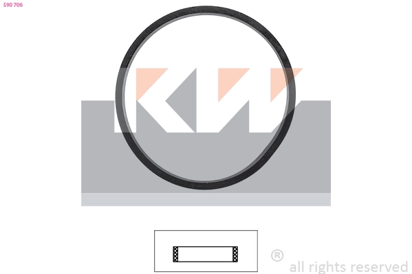 Seal, thermostat (590 706)