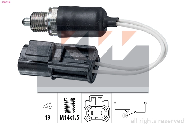 Switch, reverse light (560 314)