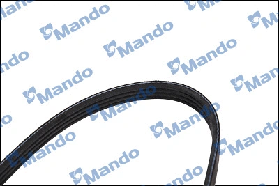 V-Ribbed Belt