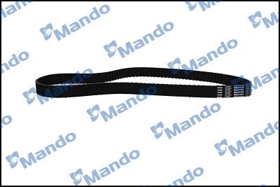 Timing Belt