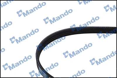 V-Ribbed Belt