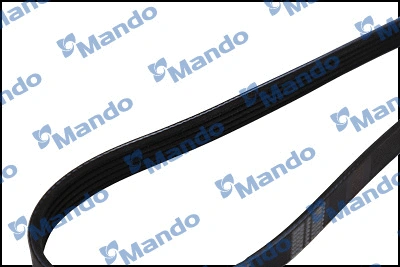V-Ribbed Belt