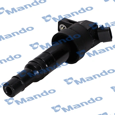 Ignition Coil (ECI00009Y)