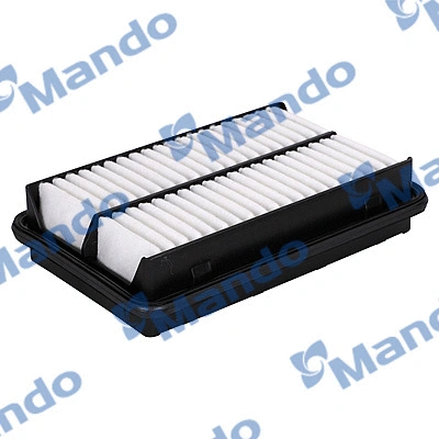 Air Filter (EAF00180T)