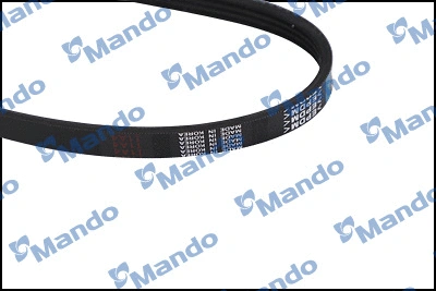 V-Ribbed Belt