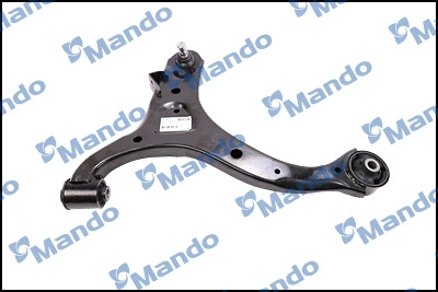 Control/Trailing Arm, wheel suspension (CAH0089D)