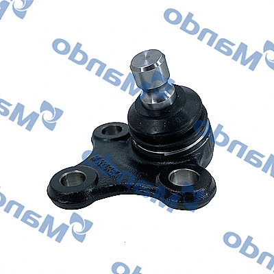 Ball Joint (DSA020087)